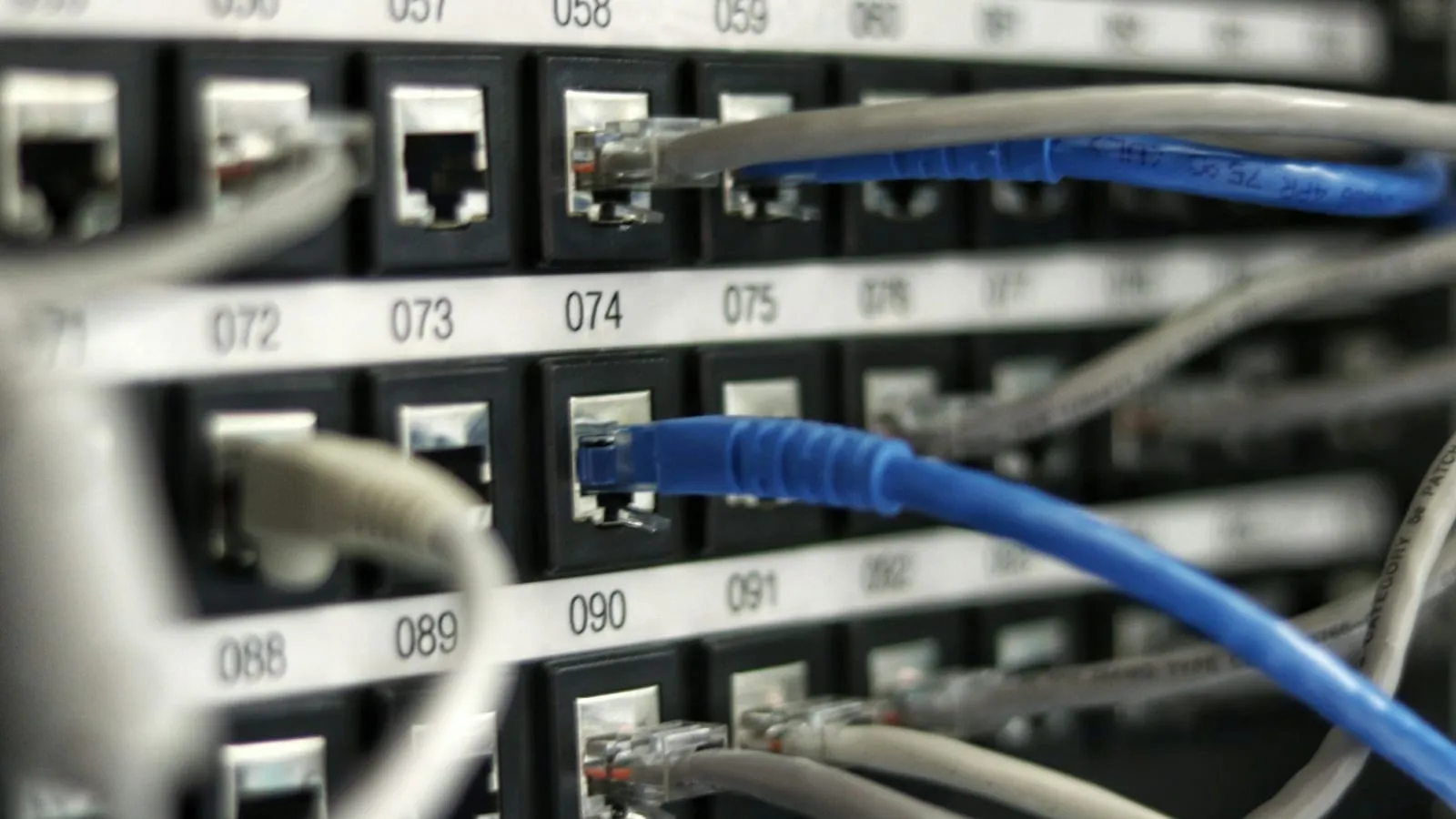 A blue network cable plugged into a numbered patch panel