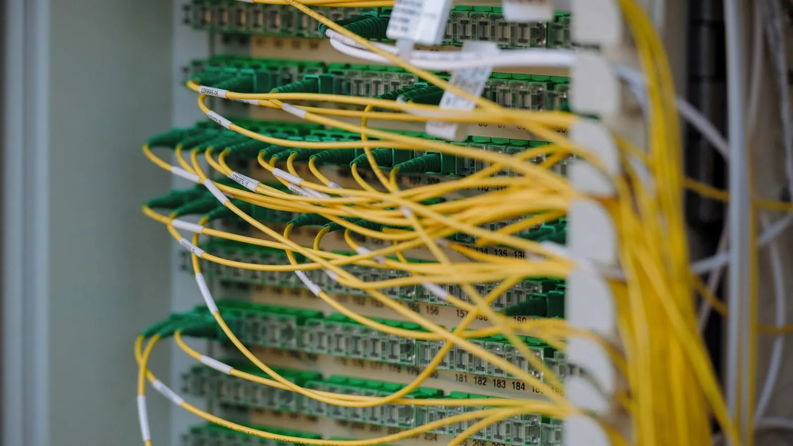 Yellow fibre patch cables connected to a green fibre panel